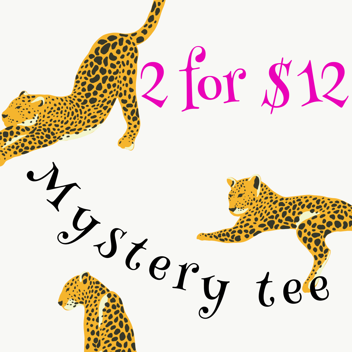 Mystery Tee 2 tees for $12 🔥🔥✨