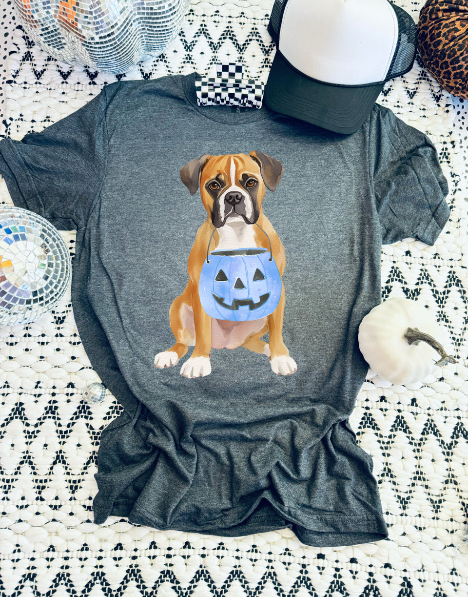 Boxer pumpkin tee