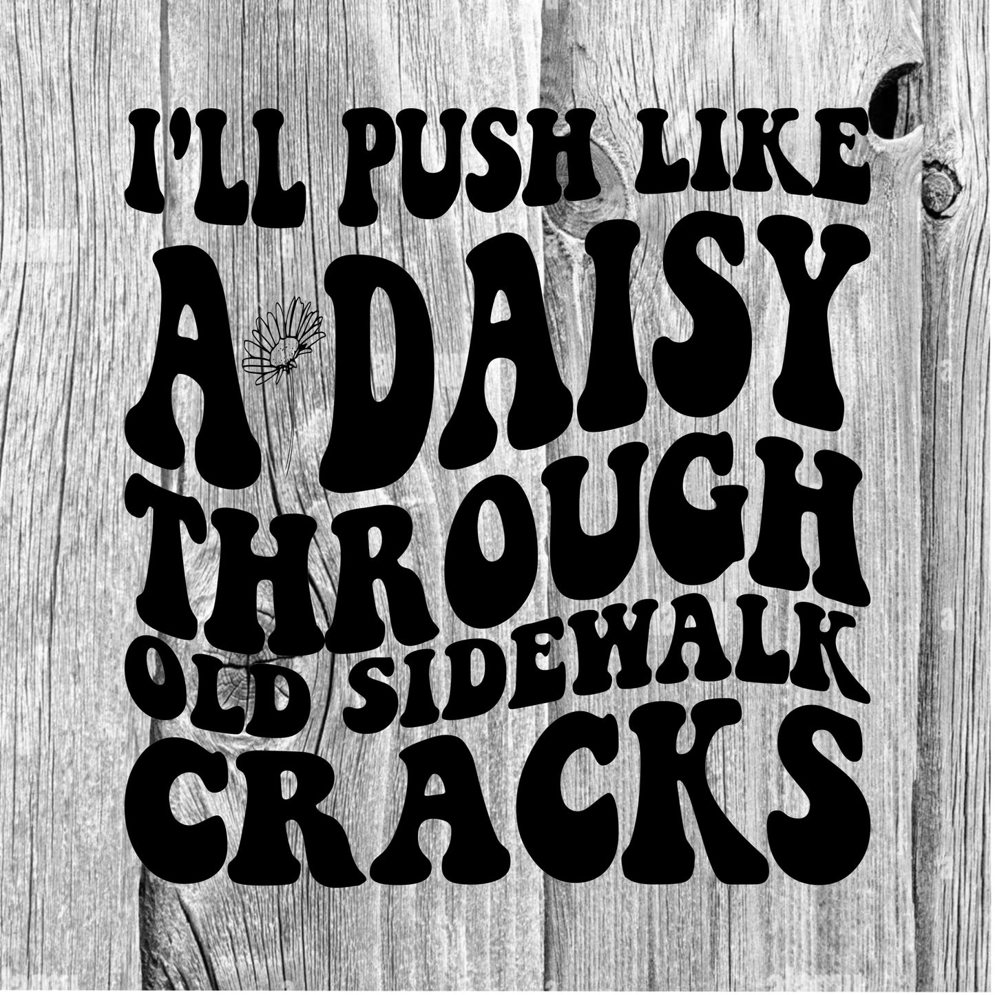 I'll Push Like a Daisy Through Old Sidewalk Cracks PNG